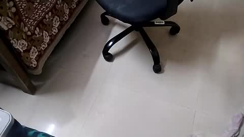 Tutu22 online show from 01.10.25