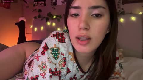 Anisa Moan from LovenseWet from Tip MenuOpen for Private online show from 01.11.26