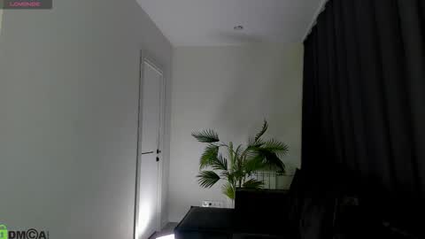 ann online show from 02.25.26