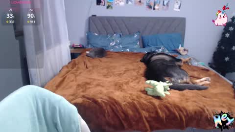 Anadirectgirl online show from 01.08.25