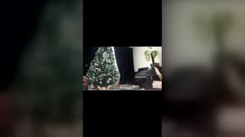 anna_nobel online show from 12.14.25