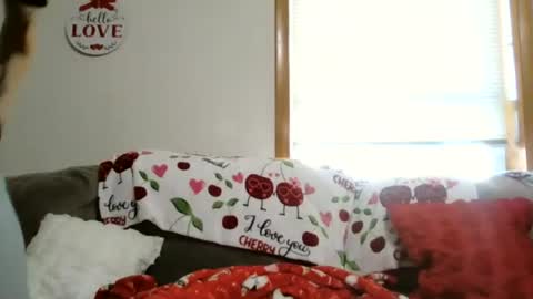 anne online show from 01.05.26