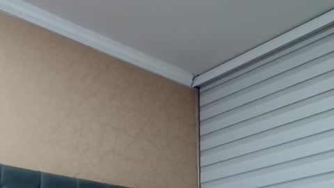       online show from 02.19.26