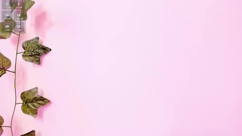 Anne online show from 02.02.25