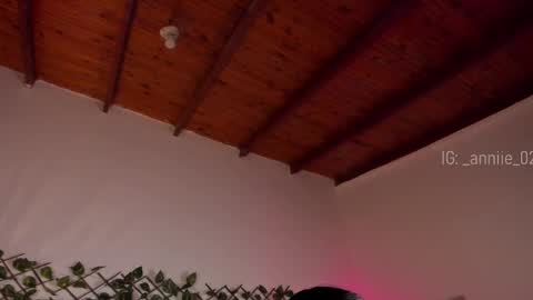 annie_barozzi online show from 01.16.25