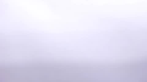 Annie online show from 02.02.25