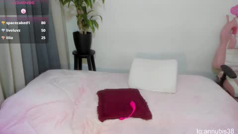 Snapshot of annubis_lia chatting on 02.18.25 SOFIA INDEPENDENT MODEL online show from 02.18.25