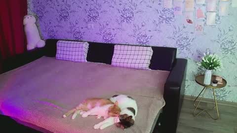 Annie online show from 12.16.24