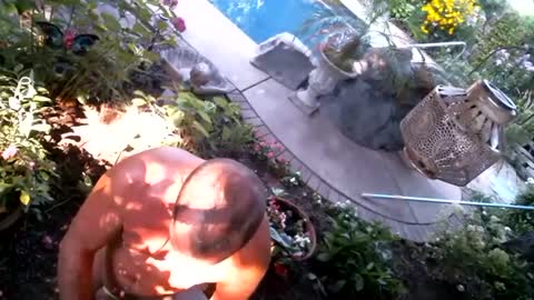 anoaklawnguy online show from 09.14.25