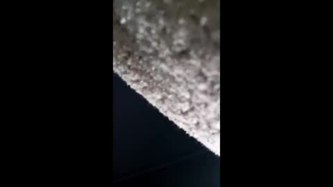 anonymous195100 online show from 05.18.26