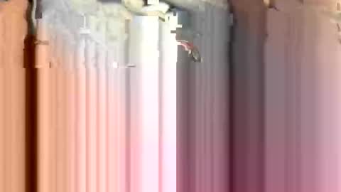 anonymous82389 online show from 11.15.25