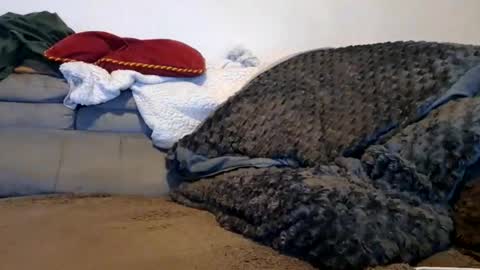 Snapshot of anonymousex15 chatting on 11.30.25 anonymousex15 online show from 11.30.25