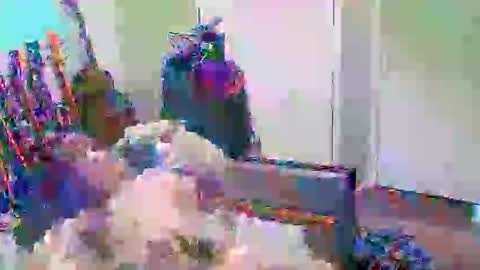 anssyboy696 online show from 10.11.25