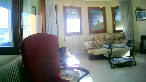 Snapshot of antonio2605 chatting on 01.13.25 Antonio online show from 01.13.25