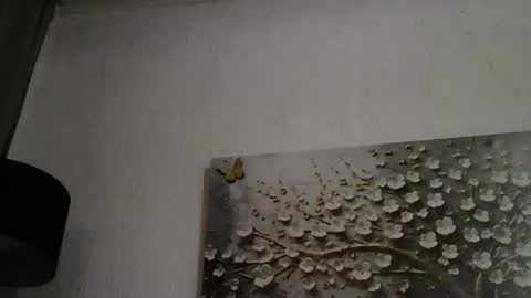 Snapshot of anybigtitts chatting on 03.01.26 AnyBigTitts online show from 03.01.26