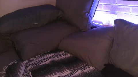 Shy Happy Pair online show from 09.25.25