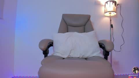 Snapshot of apoteosis_ chatting on 11.04.25 Apo online show from 11.04.25