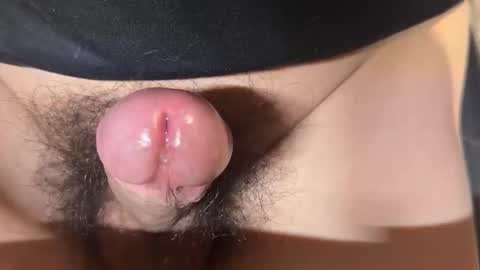 apple2761 online show from 04.01.26