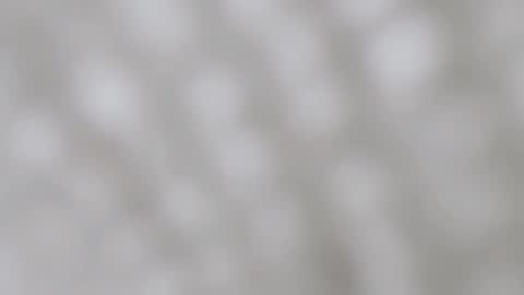 April online show from 12.11.24