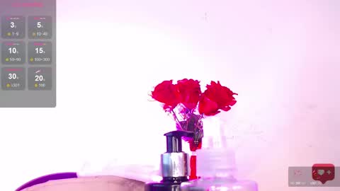 Ari online show from 01.08.25