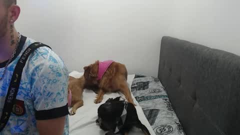 ariana_esteban07 online show from 02.06.26