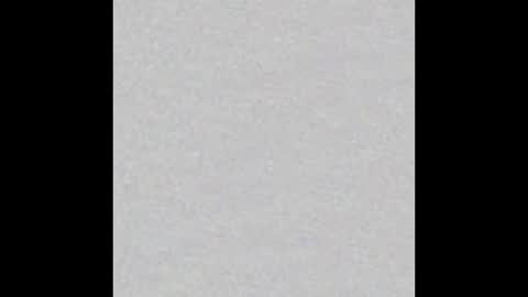 Arianna Collins online show from 02.25.26