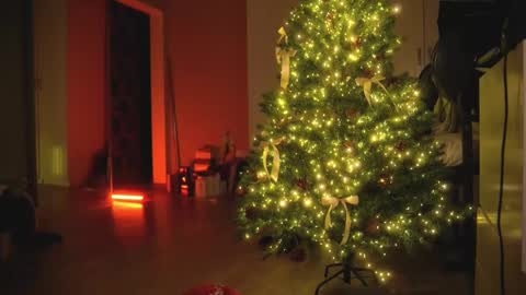 Olivka online show from 12.30.24