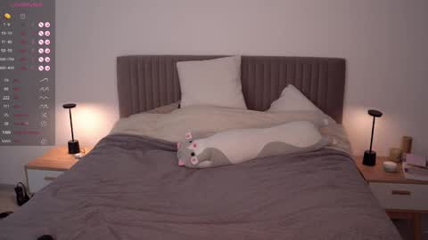 Ariel online show from 02.12.25