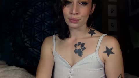 Snapshot of arielwyld chatting on 12.11.24 ariel colin when hes here online show from 12.11.24