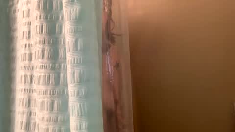 Snapshot of arielwyld chatting on 01.02.25 ariel colin when hes here online show from 01.02.25