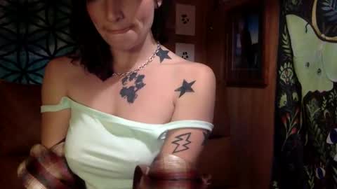 Snapshot of arielwyld chatting on 02.21.25 ariel colin when hes here online show from 02.21.25