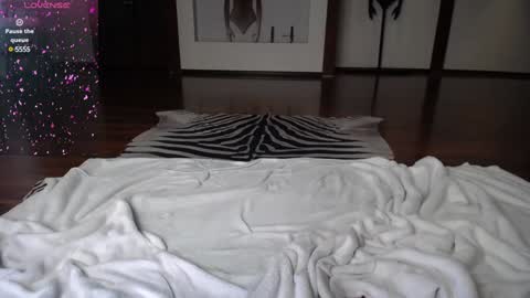 arinamir online show from 12.28.24