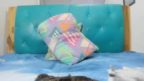 armanidark online show from 09.15.25