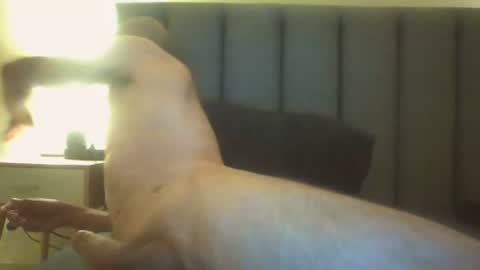 Snapshot of arnoldmir chatting on 07.12.26 Arnoldmir online show from 07.12.26