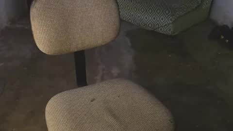 aron_7 online show from 03.08.25