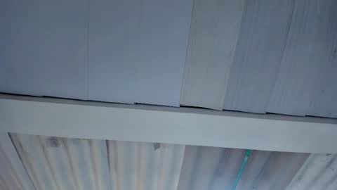 Snapshot of artemis_020 chatting on 10.15.25 FENIX online show from 10.15.25