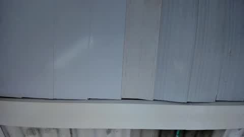 Snapshot of artemis_020 chatting on 11.25.25 FENIX online show from 11.25.25