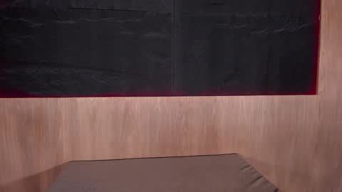 Snapshot of artemisablake chatting on 01.24.25 artemisablake online show from 01.24.25