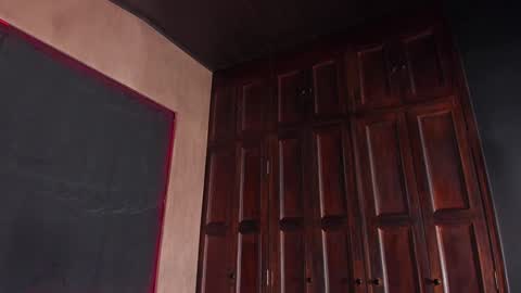 Snapshot of artemisablake chatting on 01.25.25 artemisablake online show from 01.25.25