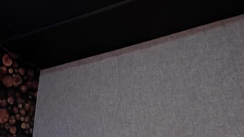 Snapshot of artemisablake chatting on 03.05.25 artemisablake online show from 03.05.25