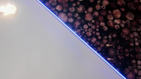 Snapshot of artemisablake chatting on 03.05.25 artemisablake online show from 03.05.25