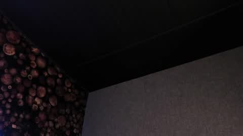 Snapshot of artemisablake chatting on 03.07.25 artemisablake online show from 03.07.25