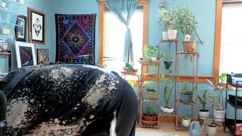 Artie Paints online show from 12.22.24