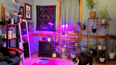 Artie Paints online show from 01.04.25