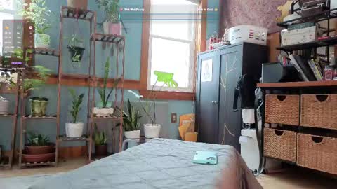 Artie Paints online show from 02.10.25