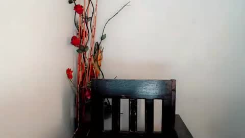 Snapshot of arya_lightning chatting on 02.09.26 ARYA online show from 02.09.26