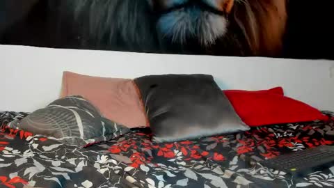 Snapshot of ashley_girl_queen chatting on 06.24.26 ashley_girl_queen online show from 06.24.26