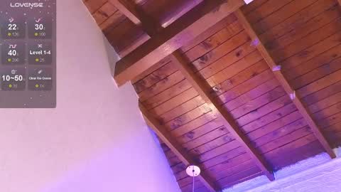 Snapshot of ashleybrend chatting on 12.27.24 CAMILA online show from 12.27.24