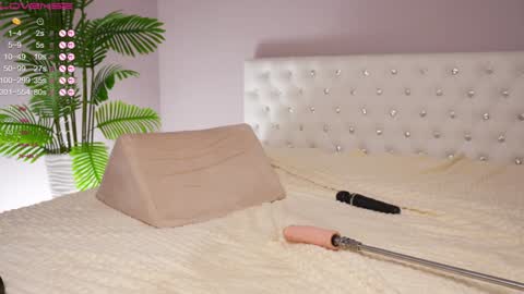 Amy  online show from 01.25.25