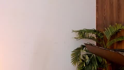 my name real is camilo online show from 12.28.24